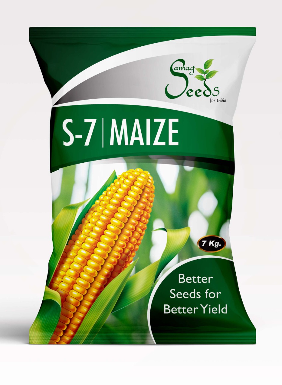 Fodder Maize S-7